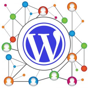 infographic for a wordpress intranet or extranet solution