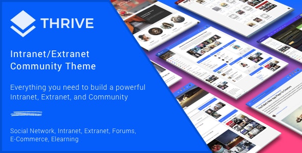This is the wordpress intranet extranet theme review